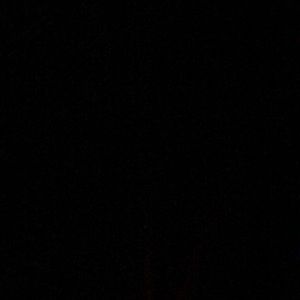 Meet your Posher, Bobby